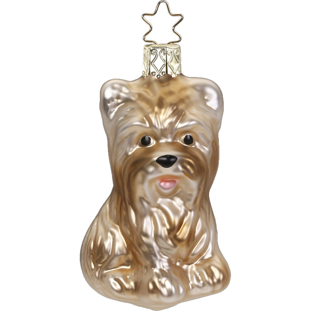 inge-glas-yorkshire-terrier-7-5-cm-christbaumfigur-aus-glas image 1