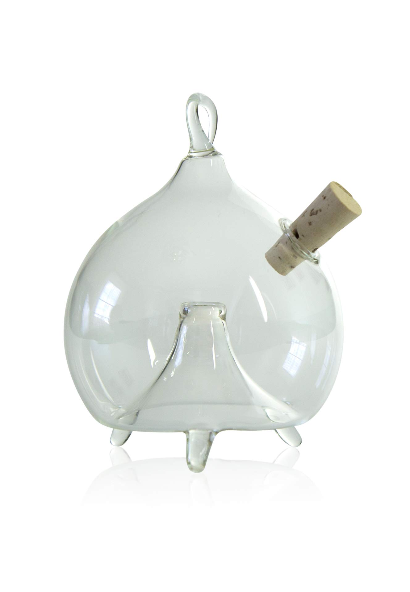 lauschaer-glas-fliegenfalle-zum-stellen-und-h-ngen-6cm image 1