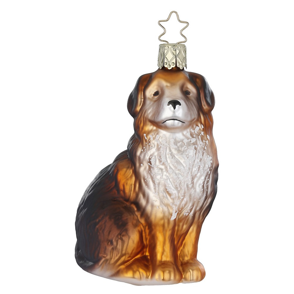 inge-glas-berner-sennenhund-10-5-cm-glasfigur-weihnachten image 1