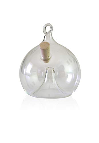 lauschaer-glas-fliegenfalle-zum-h-ngen-klarglas-6-cm image 7