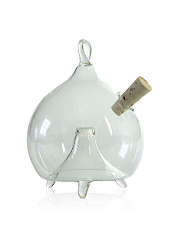 lauschaer-glas-fliegenfalle-zum-stellen-und-h-ngen-6cm image 7