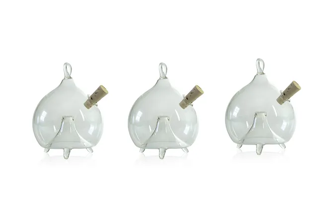 lauschaer-glas-fliegenfalle-zum-stellen-und-h-ngen-3-st-ck-d-6-cm-klarglas image 1