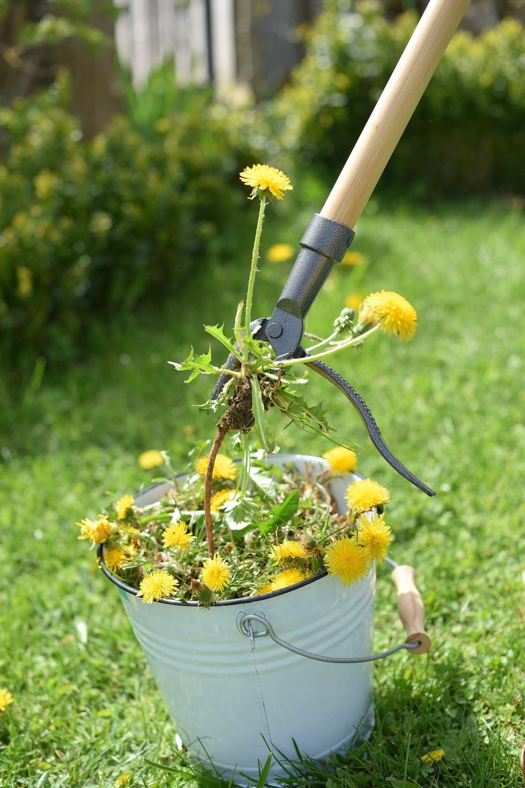 krinner-unkrautkralle-u-fix-gartenkralle-gegen-unkraut image 3