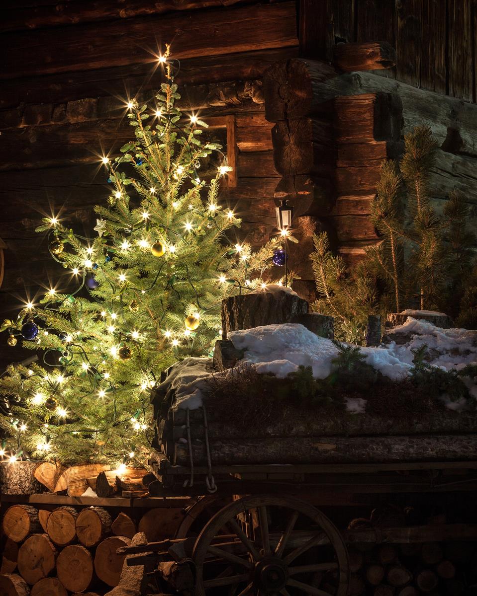 krinner-montana-stahl-christbaumst-nder-f-r-b-ume-bis-4-9-m image 3