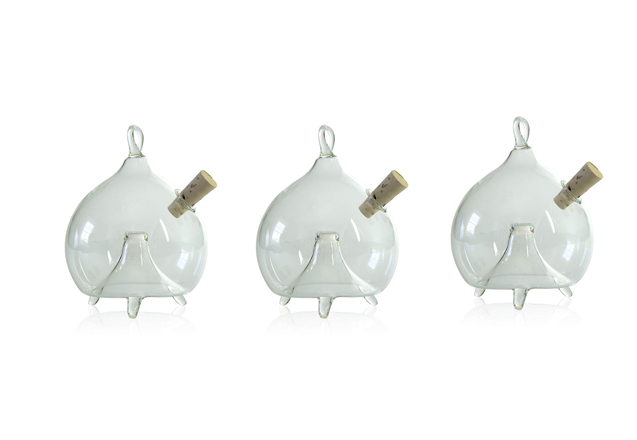 lauschaer-glas-fliegenfalle-zum-stellen-und-h-ngen-3-st-ck-d-6-cm-klarglas image 1