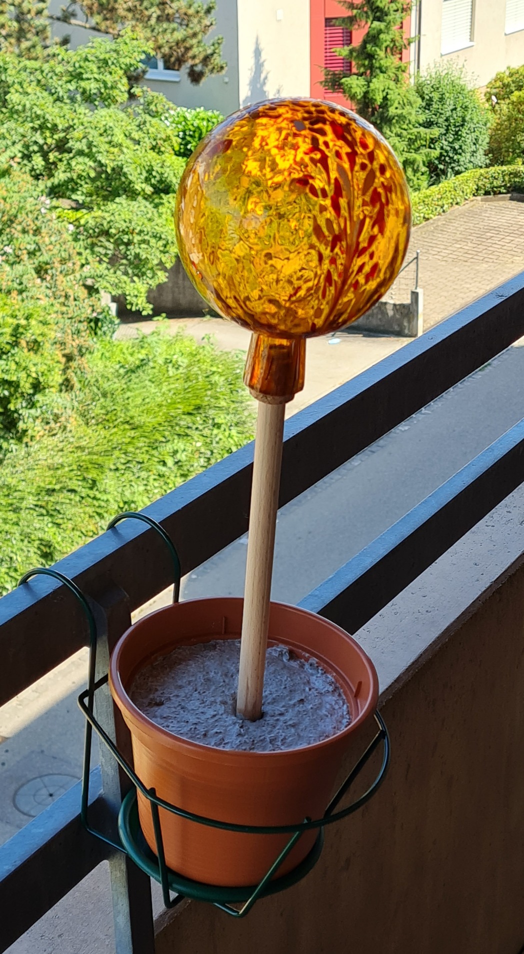 Wunderschön im Rosenbeet