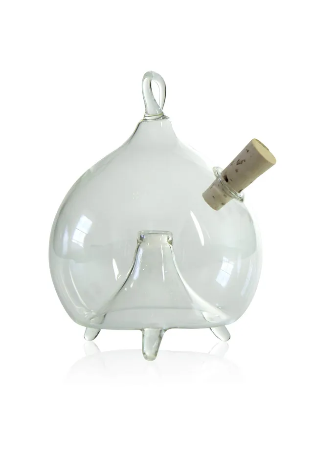 lauschaer-glas-fliegenfalle-zum-stellen-und-h-ngen-6cm image 1