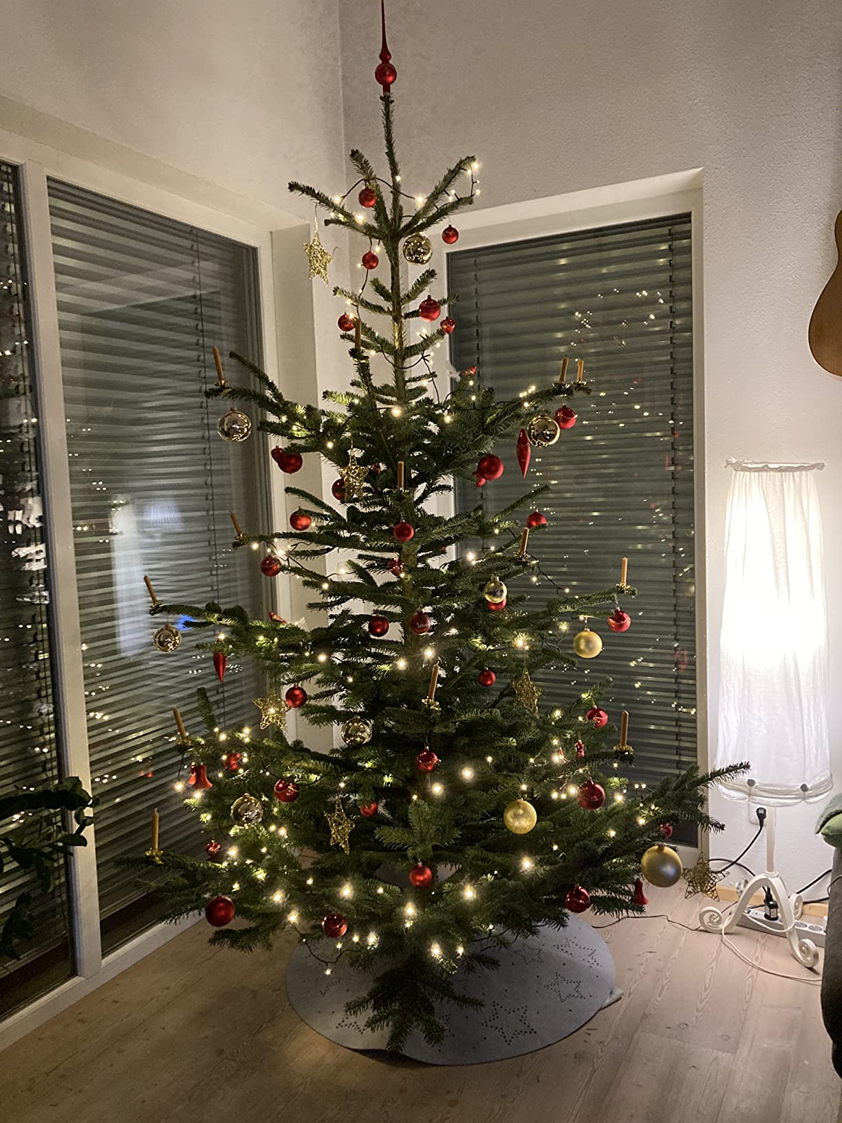 Wunderschönes Rot am Baum