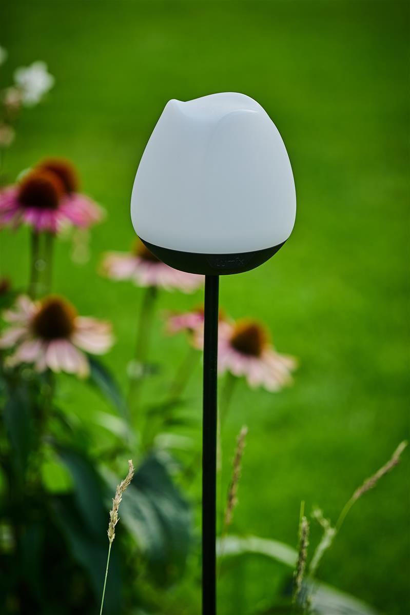 krinner-lumix-solar-flower-rosy-solar-bl-te image 3
