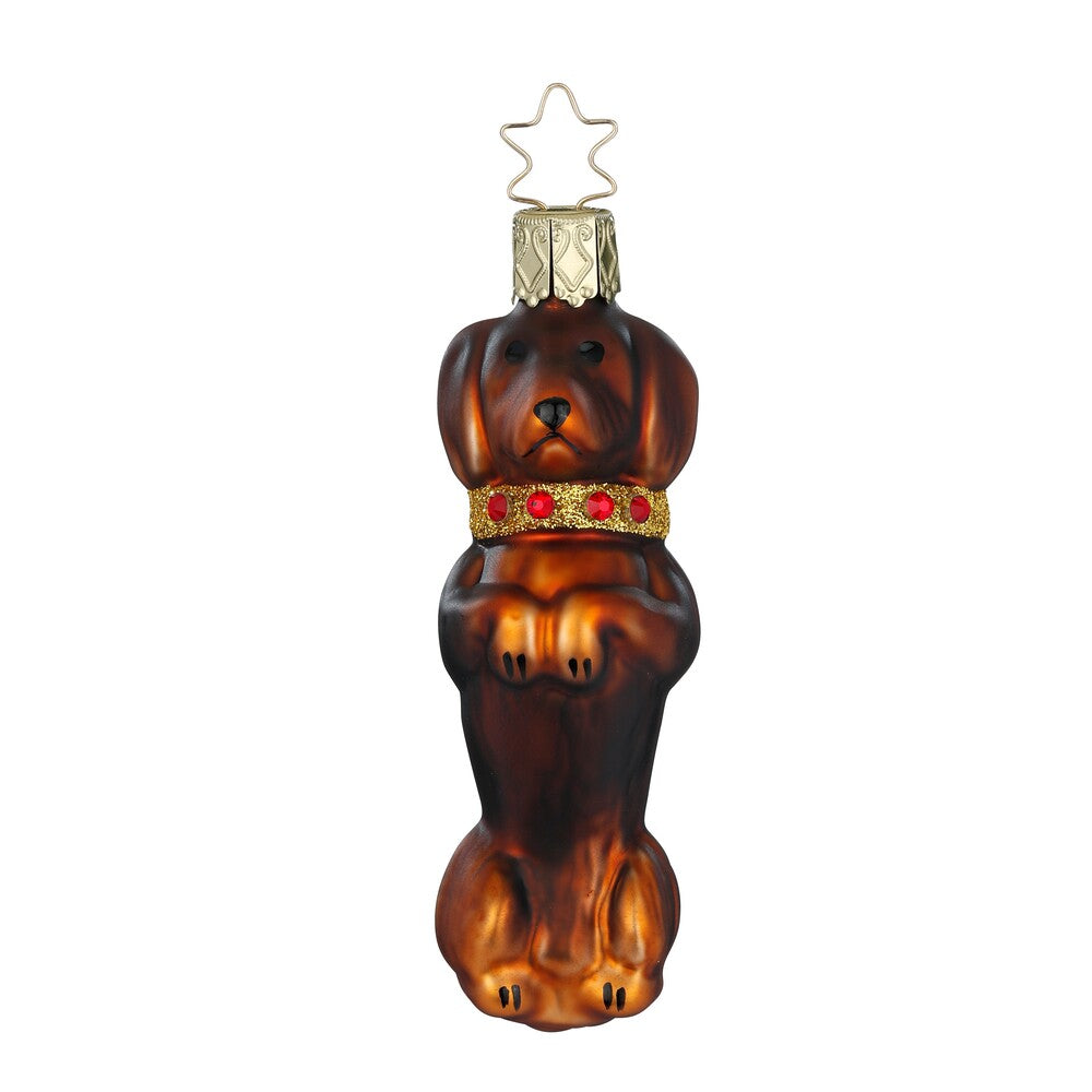 inge-glas-figur-brillanter-kurzhaardackel-dunkelbraun-9-5-cm image 1