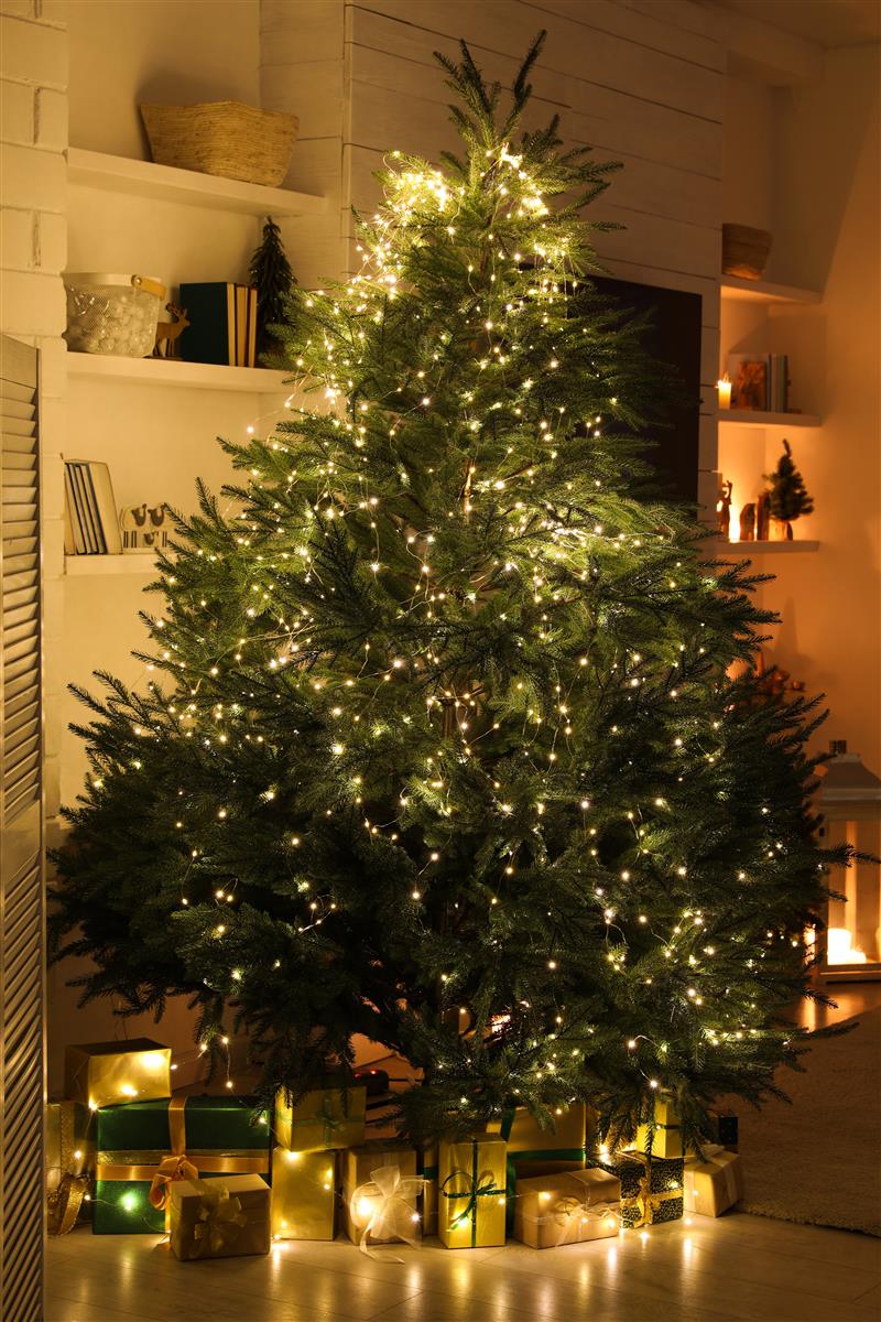 krinner-x-440-deluxe-christbaumst-nder-4-4-m image 5