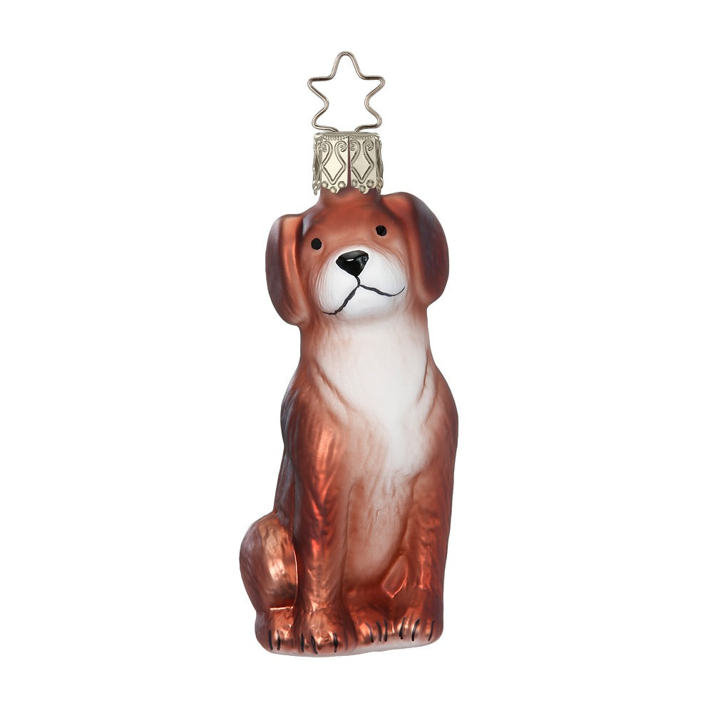 inge-glas-beagle-glas-christbaumanh-nger-9-5-cm image 1