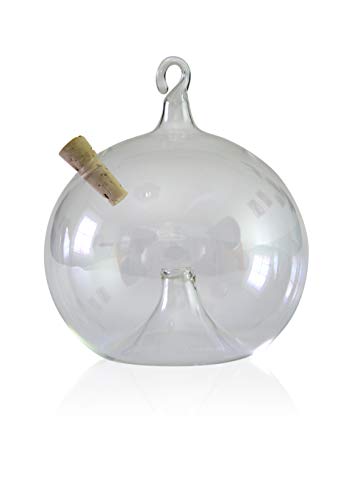 lauschaer-glas-fliegenfalle-zum-h-ngen-8cm-klarglas-mundgeblasen image 7