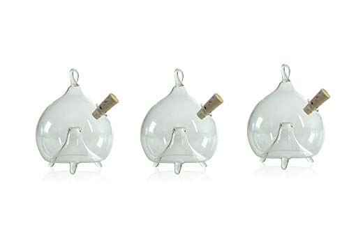 lauschaer-glas-fliegenfalle-zum-stellen-und-h-ngen-3-st-ck-d-6-cm-klarglas image 7